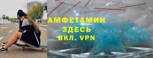 индика Няндома