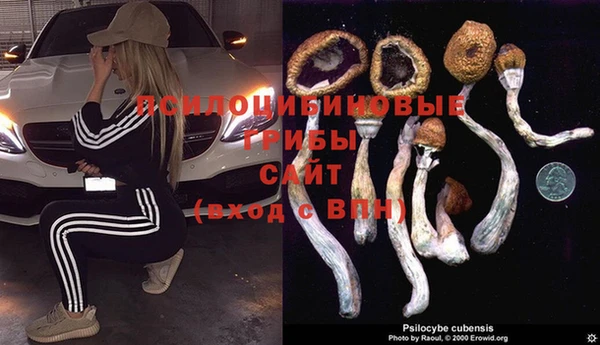 apvp Беломорск