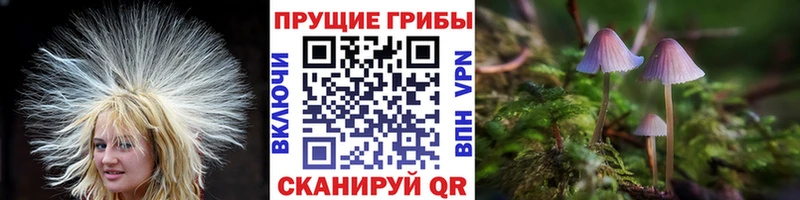 Галлюциногенные грибы MAGIC MUSHROOMS  Купить  Андреаполь 