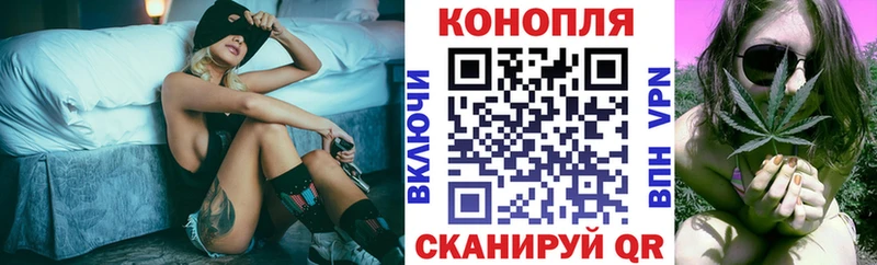 Конопля план  Купить где  Андреаполь 